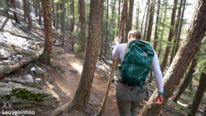 Christina Savoy's Pussy Gets Rammed In The Woods