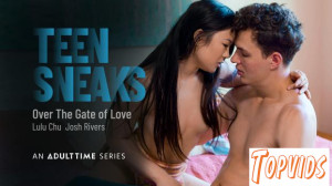 Lulu Chu - Over The Gate of Love