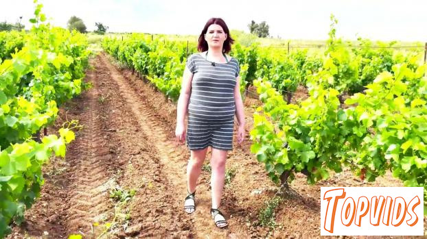 Leila - 37 years old, takes part in a winemaking trio!