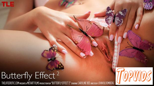 Caroline Bee - Butterfly Effect 2