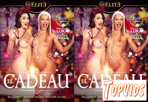 Le.Cadeau.FRENCH.XXX.1080p.WEBRip.MP4 - COCKiNE