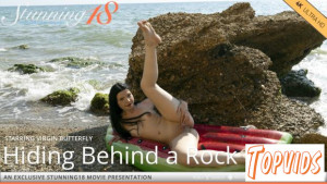 Virgin Butterfly - Hiding Behind A Rock