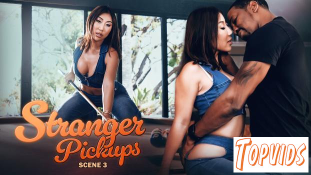 Nicole Doshi - The Cat Call