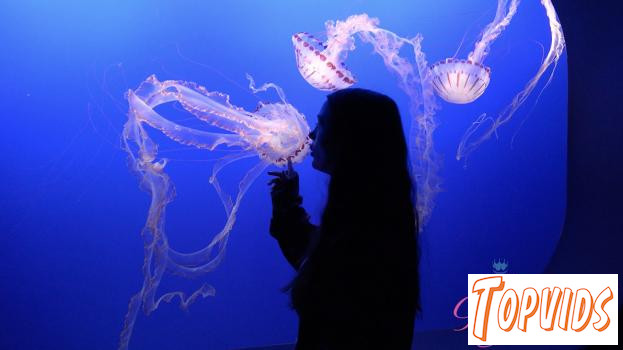 Summer Renee - Norcal 5