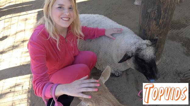 Dez Hansen - Farm Date 1