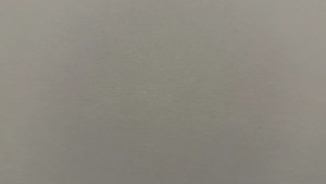 Alya Ferrari Gets Pounded In Her Red Lingerie