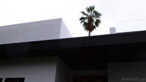 Melissa Stratton Craves For Passionate Sex