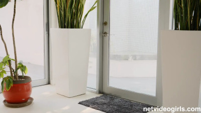 BBC Pounds Riley Reign's Pussy During Casting