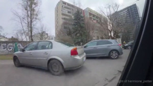 Hermione Potter's Warsaw Sex Tape