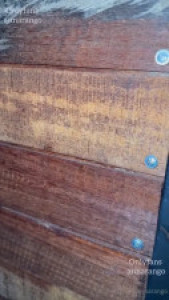 Police Officer Anna Arango Enjoys A Hard Cock