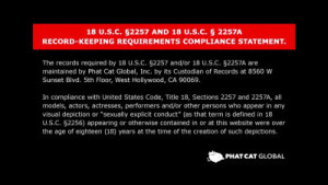 Emiri Momota's Bedtime Sex Tape